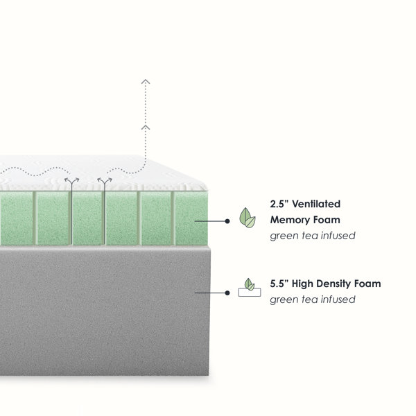 Wayfair Sleep™ 8" Plush Memory Foam Mattress & Reviews Wayfair